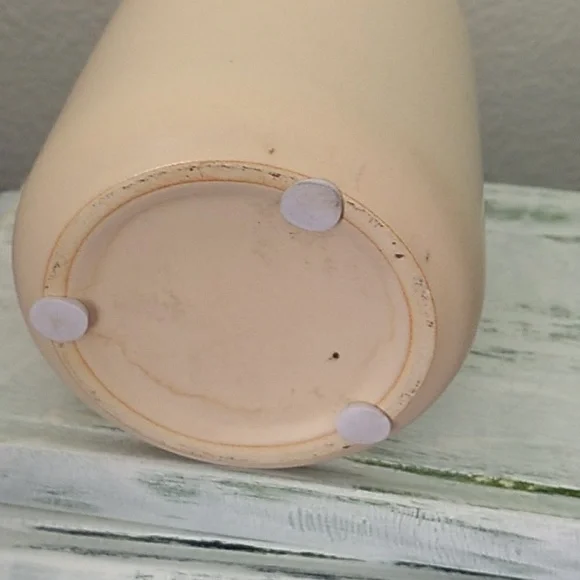 Succulent in a ceramic pot - Picture 9 of 9